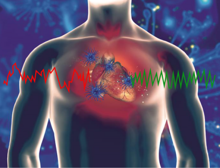 cohérence cardiaque cohérence cardiaque